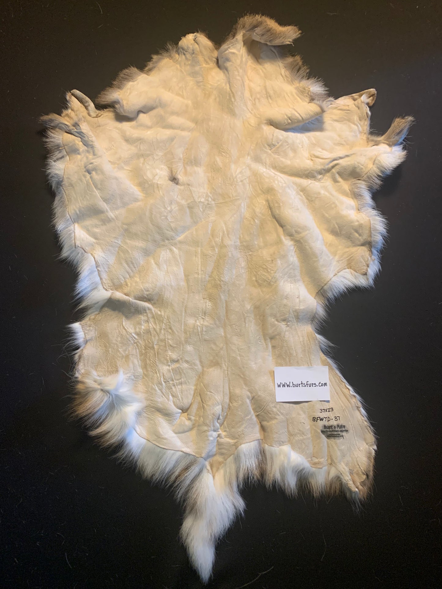 Deer hide BFWTD-37