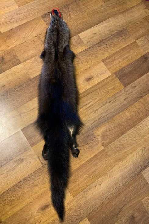 Fisher Pelts