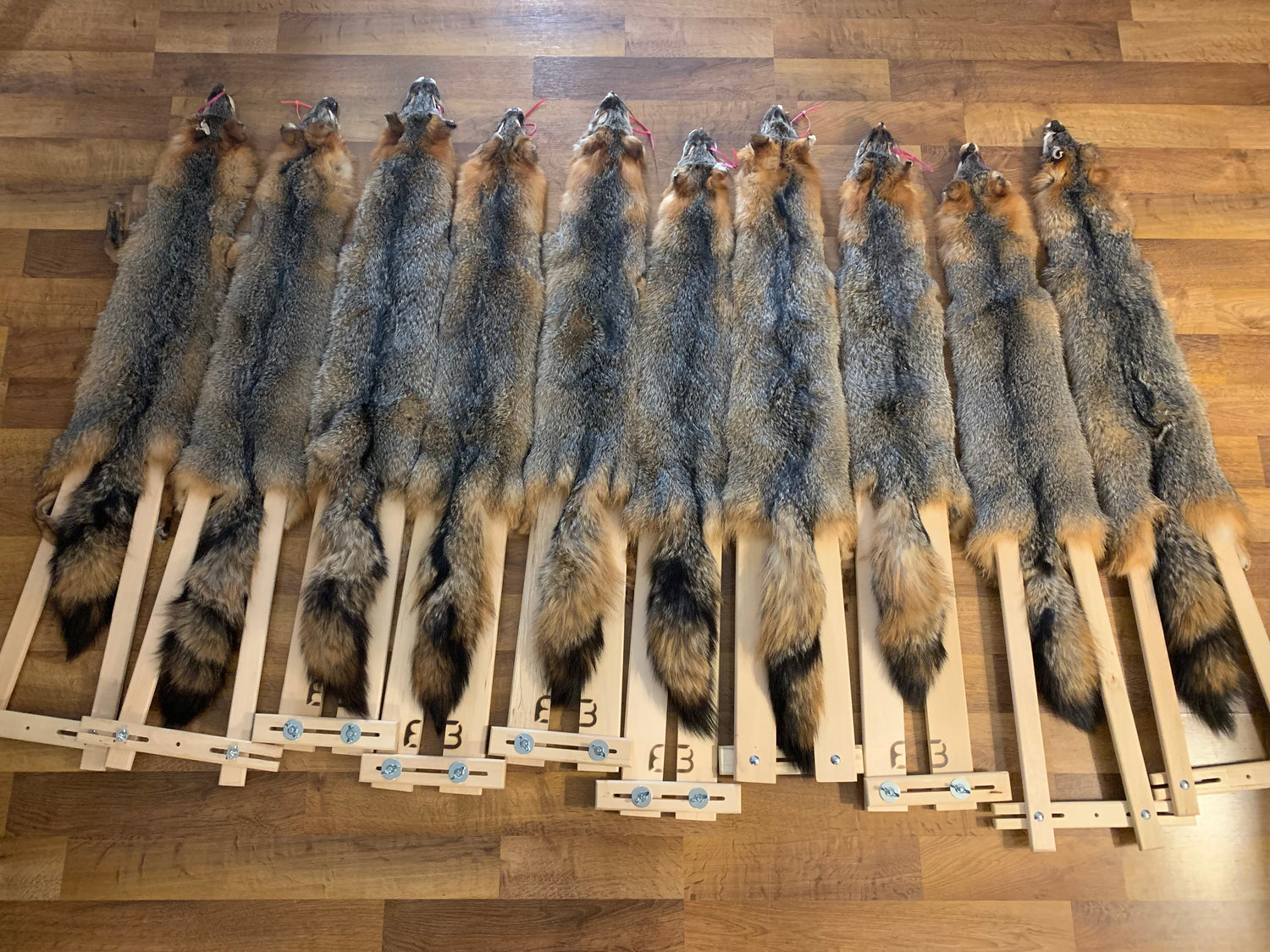 Grey Fox Pelts