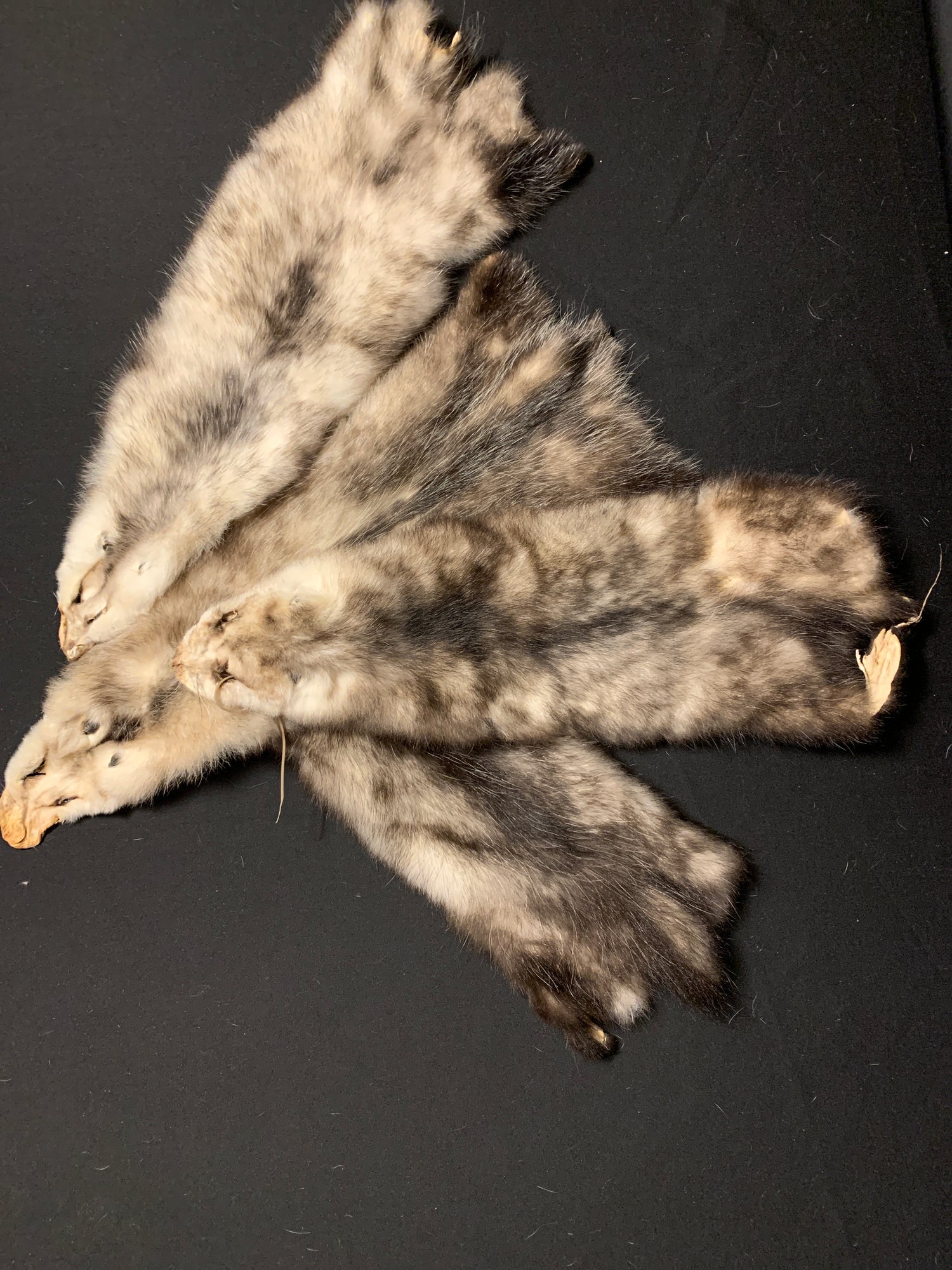 Opossum fur
