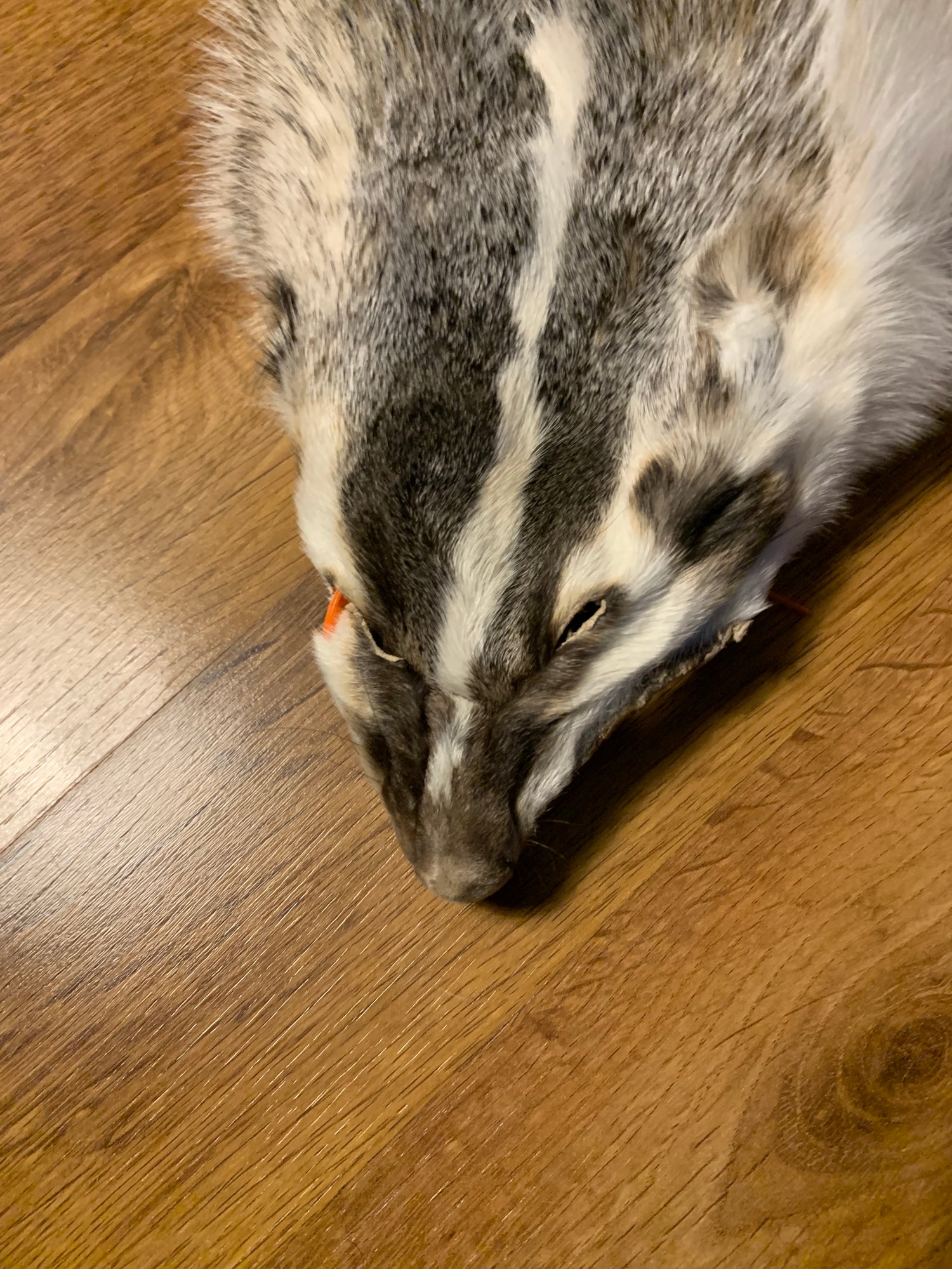 Badger Pelts