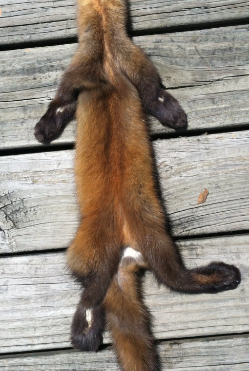Marten Pelts