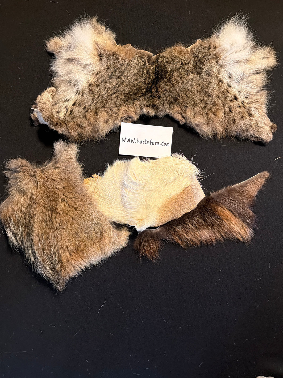 Scrap fur/faces/tails