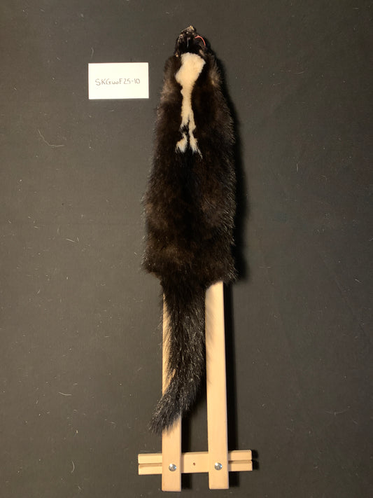 Skunk fur SKGwoF25-10