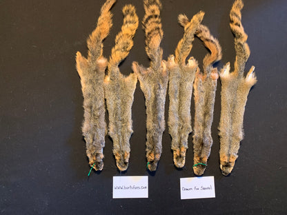 Fox squirrel pelts.  #1quality