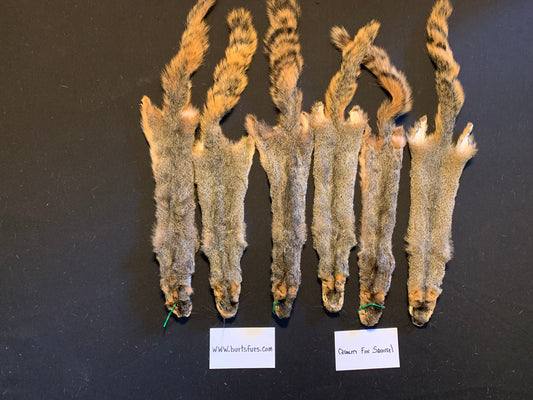 Fox squirrel pelts.  #1quality