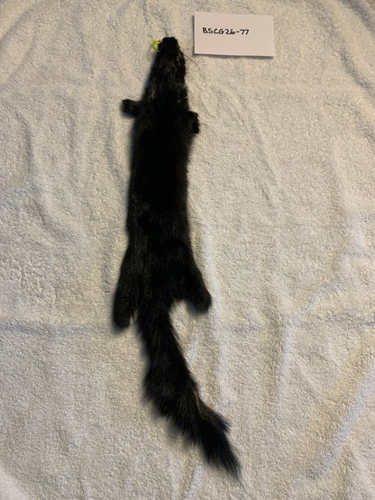 Black squirrel large craft grade