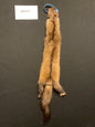 Marten (sable) pelt 5072