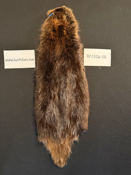 Beaver pelt cased BFCB26-02
