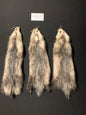 Opossum pelt PIVO26-03
