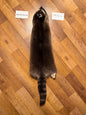 Raccoon pelt PIRC26-22