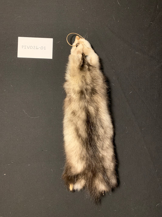 Opossum fur PIVO26-01