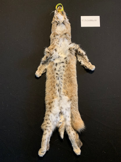 Bobcat KSB0088608