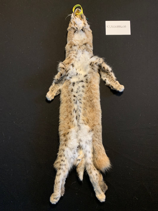 Bobcat KSB0088608