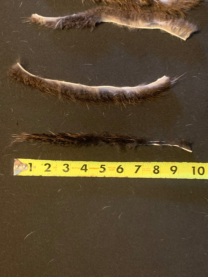 Beavers fur string silencers