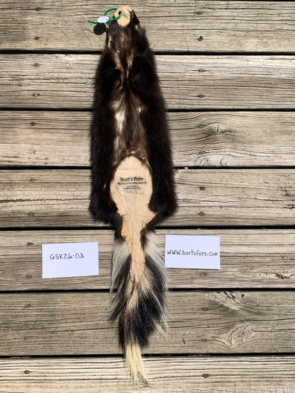 Skunk pelt GSK26-03