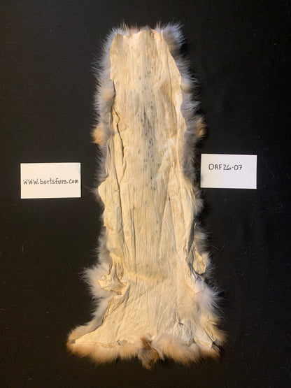 Red fox fur ORF26-07