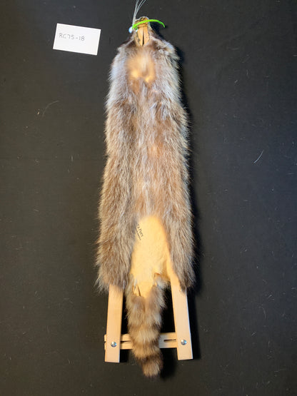 Raccoon fur RC75-18