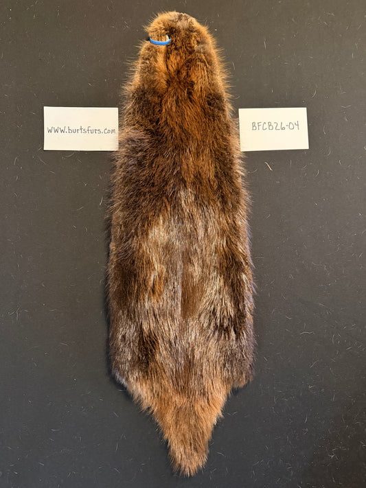 Beaver pelt cased BFCB26-04