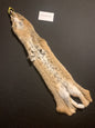 Bobcat pelt KSB0082750