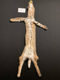 Bobcat pelt ARB0032001