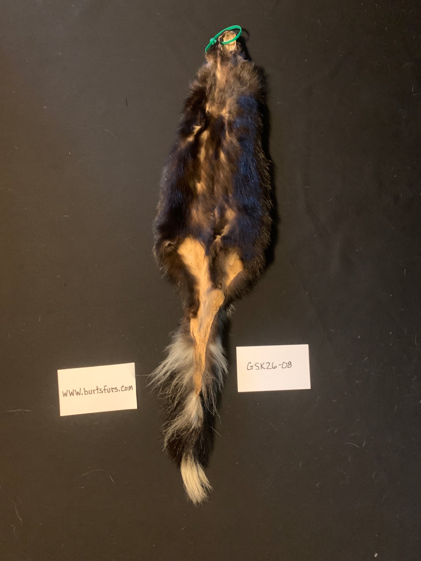 Skunk fur GSK26-08