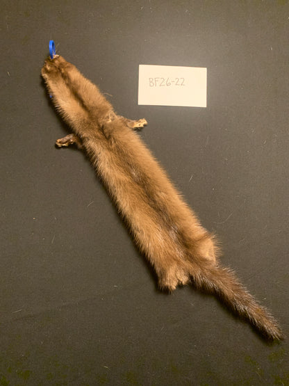 Buck mink BF26-22