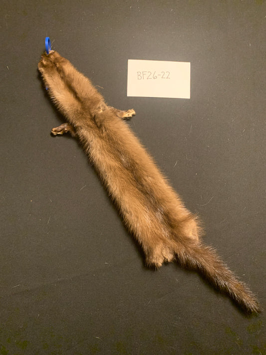 Buck mink BF26-22
