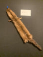 Buck mink BF26-22