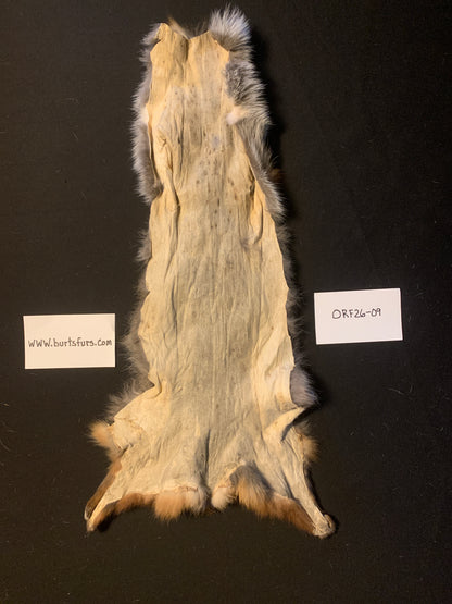 Red fox fur ORF26-09