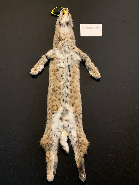 Bobcat KSB0088609