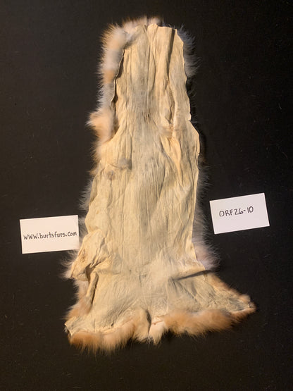 Red fox fur ORF26-10