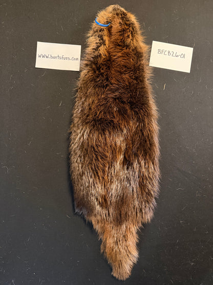 Beaver pelt cased BFBC26-01
