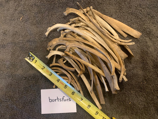 Rib bones