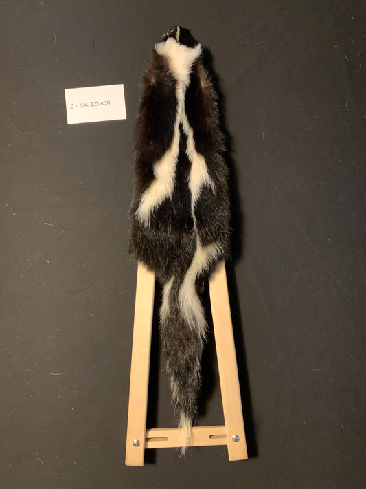 Skunk pelt C-SK25-01