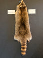 Raccoon pelt BFRC26-52