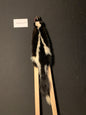 Skunk pelt KSK26-05