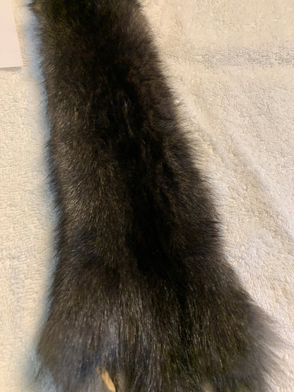 Black squirrel BHFSQ26-01
