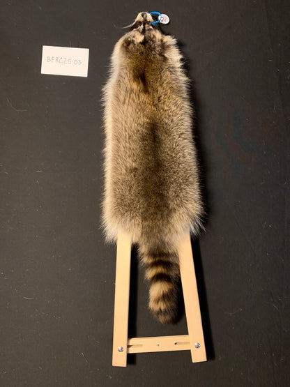 Raccoon fur BFRC25-03