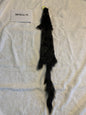 Black squirrel BHFSQ26-02