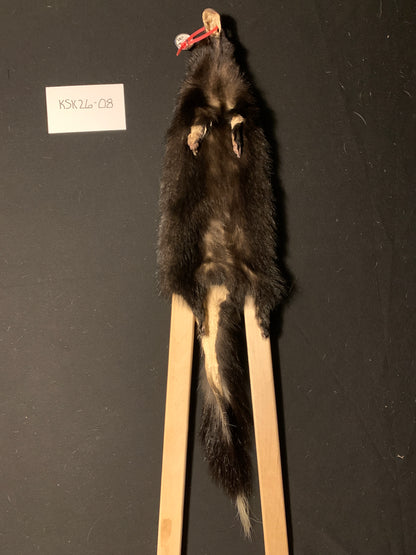 Skunk fur KSK26-08