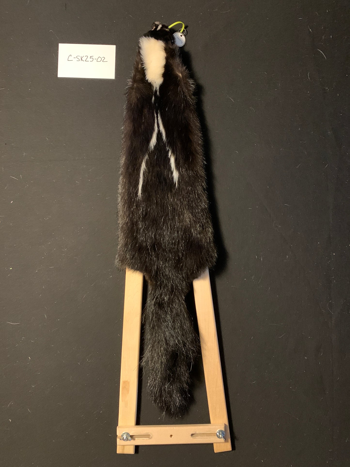 Skunk fur C-SK25-02