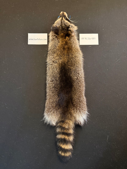 Raccoon pelt “accidental fur” AFRC26-001