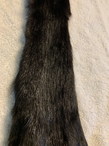 Black squirrel BHFSQ26-03