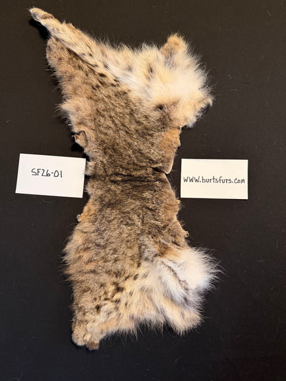 Bobcat scrap SF26-01