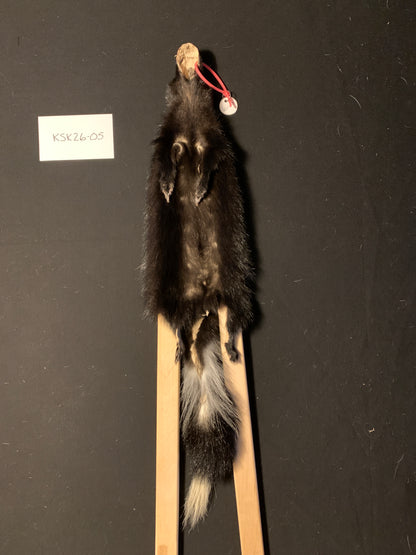Skunk pelt KSK26-05