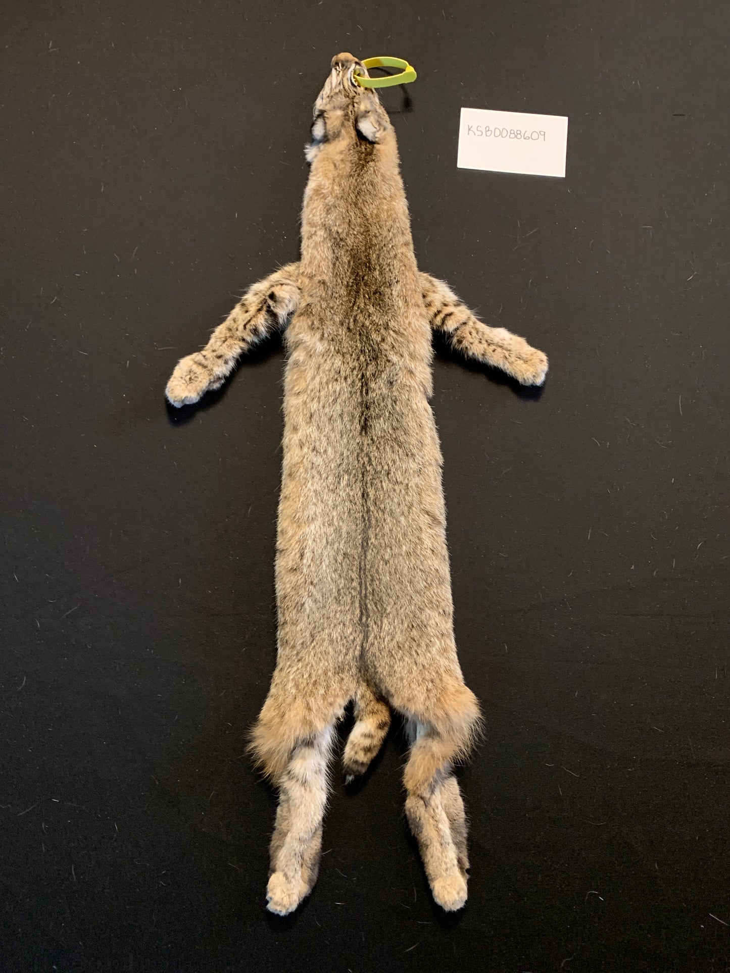 Bobcat KSB0088609
