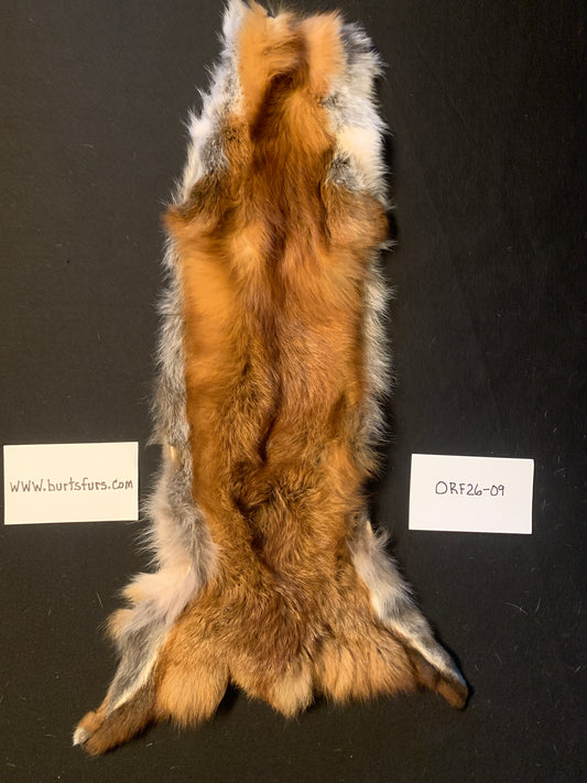Red fox fur ORF26-09