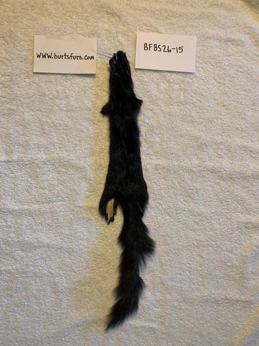 Black squirrel pelt BFBS26-15