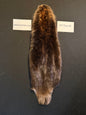 Beaver pelt cased BFCB26-05